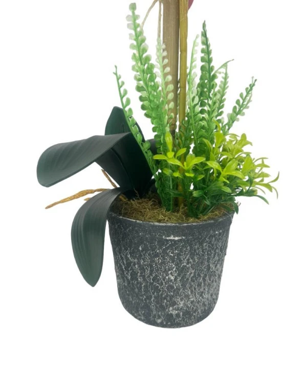 Nettenevime Yapay Çiçek 2li Mor Bordo Damarlı Islak Orkide Seramik Saksıda Orkide 60cm - 4