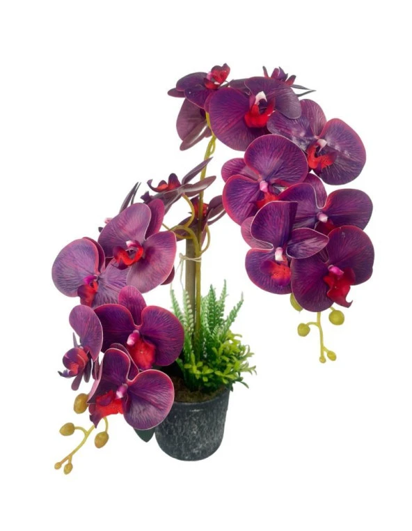 Nettenevime Yapay Çiçek 2li Mor Bordo Damarlı Islak Orkide Seramik Saksıda Orkide 60cm - 5