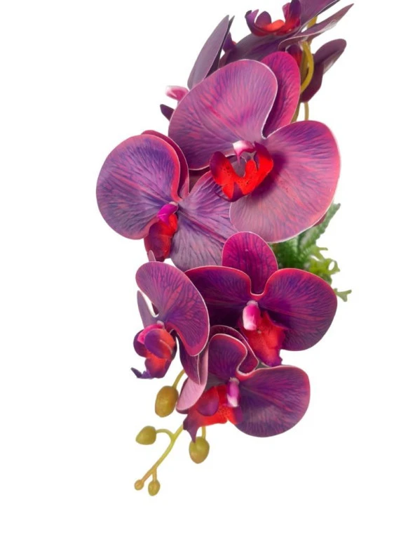 Nettenevime Yapay Çiçek 2li Mor Bordo Damarlı Islak Orkide Seramik Saksıda Orkide 60cm - 6