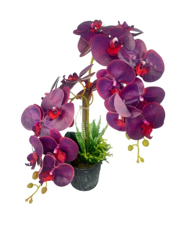 Nettenevime Yapay Çiçek 2li Mor Bordo Damarlı Islak Orkide Seramik Saksıda Orkide 60cm - 7
