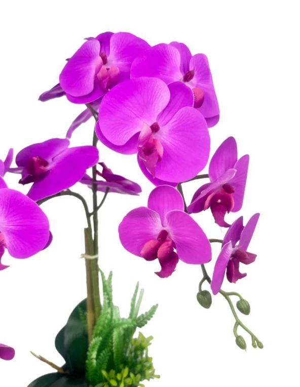 Nettenevime Yapay Çiçek 2li Fuşya Islak Orkide Seramik Saksıda Orkide 60cm - Resim 2