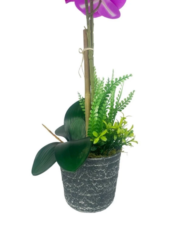 Nettenevime Yapay Çiçek 2li Fuşya Islak Orkide Seramik Saksıda Orkide 60cm - Resim 3
