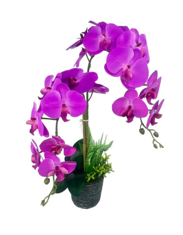 Nettenevime Yapay Çiçek 2li Fuşya Islak Orkide Seramik Saksıda Orkide 60cm - Resim 5