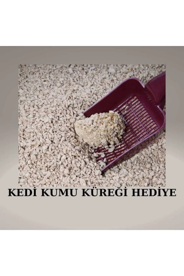 Büyük Boy Kapalı Kedi Tuvaleti Kürek Hediye Karbon Filtre Hediye 38x60x40 Kapalı Kedi Tuvaleti Xxl - Resim 4