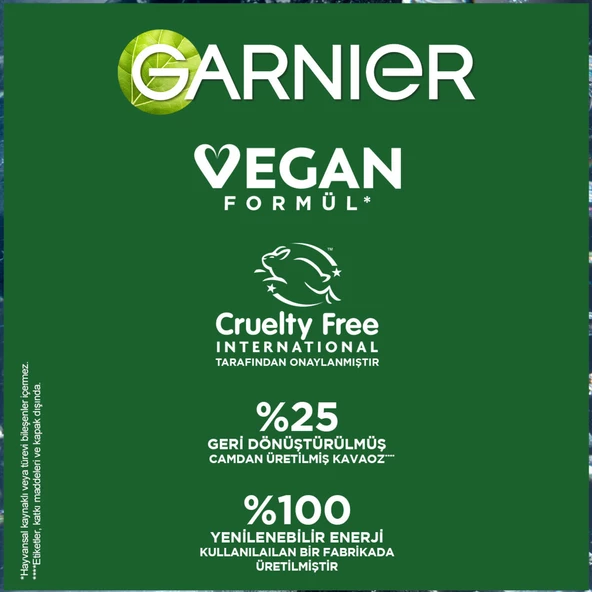 Garnier Saf Ve Temiz Kömür Matlaştırıcı Günlük Nemlendirici Krem 50Ml - 7