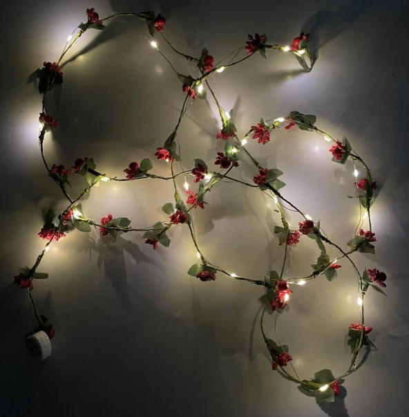 Nettenevime Led Kokina 3 Fonksiyonlu Kendinden Pilli  Işıklı Peri Led 200cm - 2