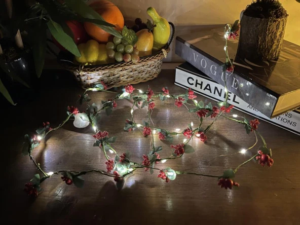 Nettenevime Led Kokina 3 Fonksiyonlu Kendinden Pilli  Işıklı Peri Led 200cm - 4