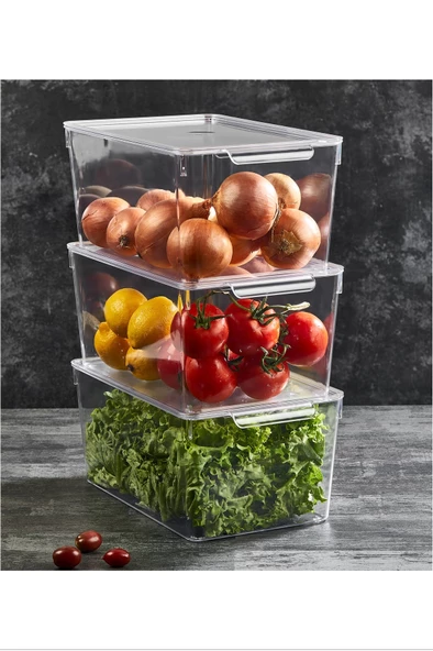 Kapaklı Büyük Boy Buzdolabı Organizeri 20x32,5x14,5 Cm XXL Royaleks-12566