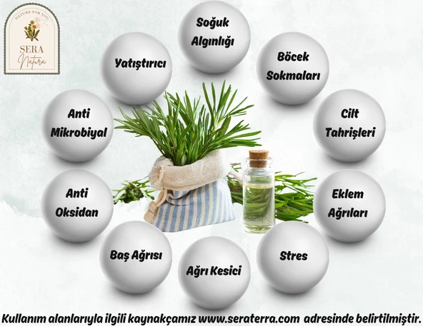 Biberiye Uçucu Yağı 10 ml. %100 Saf - 4