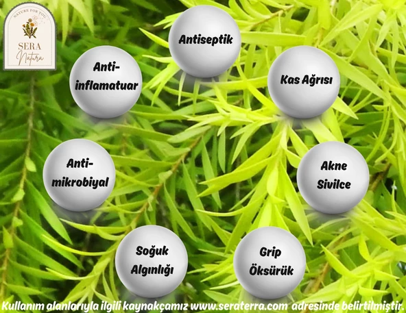 Çay Ağacı Uçucu Yağı 10 ml. %100 Saf - 4