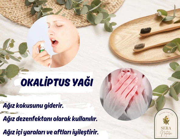 Okaliptus Uçucu Yağı 10 ml. %100 Saf - 3