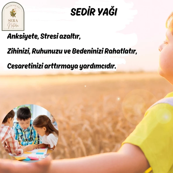 Sedir Uçucu Yağı 10 ml. %100 Saf - 3