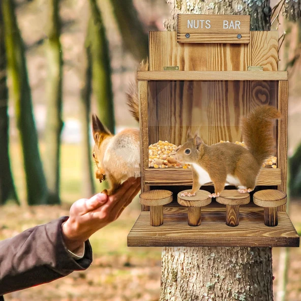 Sincap Yemi Mama İstasyonu Çam Ağacından Sincap Yem Evi Sincap Piknik Masası Besleyici Sincap Bar Tabureli Ağaç Yemlik - 2