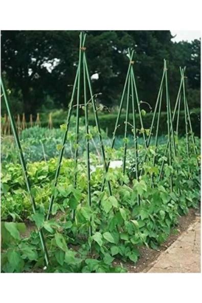 Botanika 53703 Bitki Destek Çubuğu 75 cm ( 10 Adet ) - 3