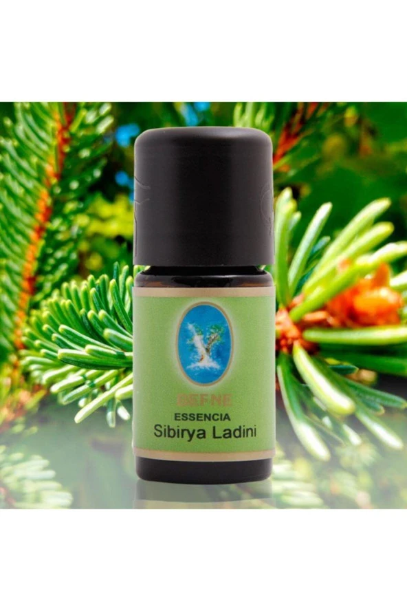 NUKA Sibirya Ladini Yağı 10 Ml. ürün görseli 1