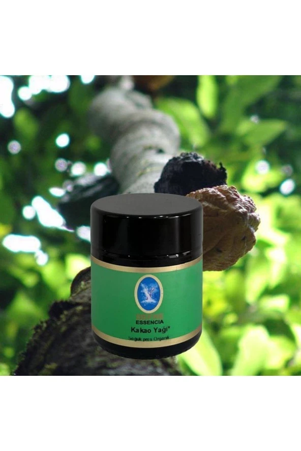 NUKA DEFNE ESENCİA Nuka Organik Kakao Yağı 30 Ml - 2