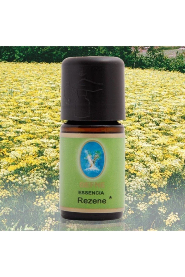 NUKA Defne Essencia Rezene Yağı 5 ml ürün görseli 1