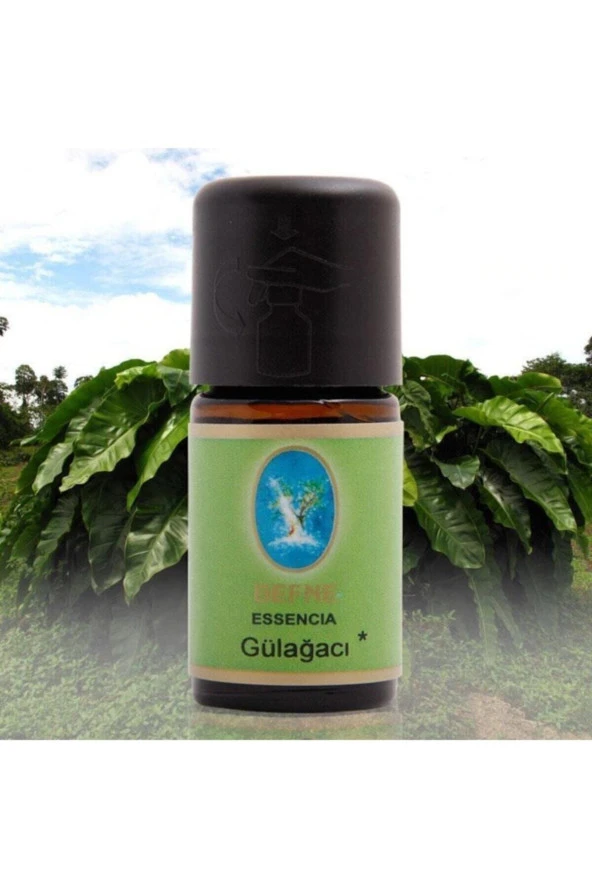 NUKA Defne Essencia Gül Ağacı Yağı 5 ml ürün görseli