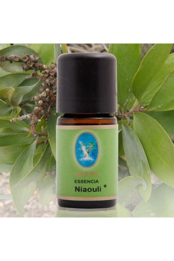 NUKA Niaouli*10 ml (ORGANİK DAMITMA) Cilt Bakım Ve Masaj Yağı