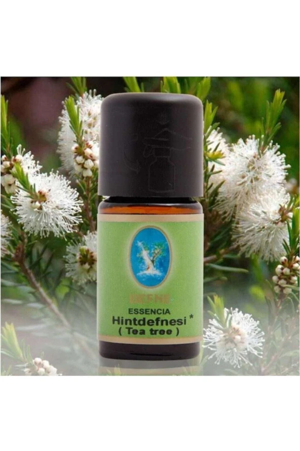 NUKA Tea Tree Yağı (ÇAY AĞACI, HİNT DEFNESİ) - 10 ml ürün görseli 1
