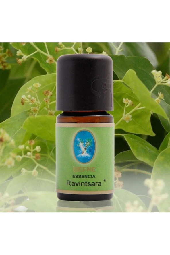 NU-KA DEFNE ESSENCIA Nuka Defne Ravintsara (organik) Uçucu Yağ 10 ml ürün görseli 1