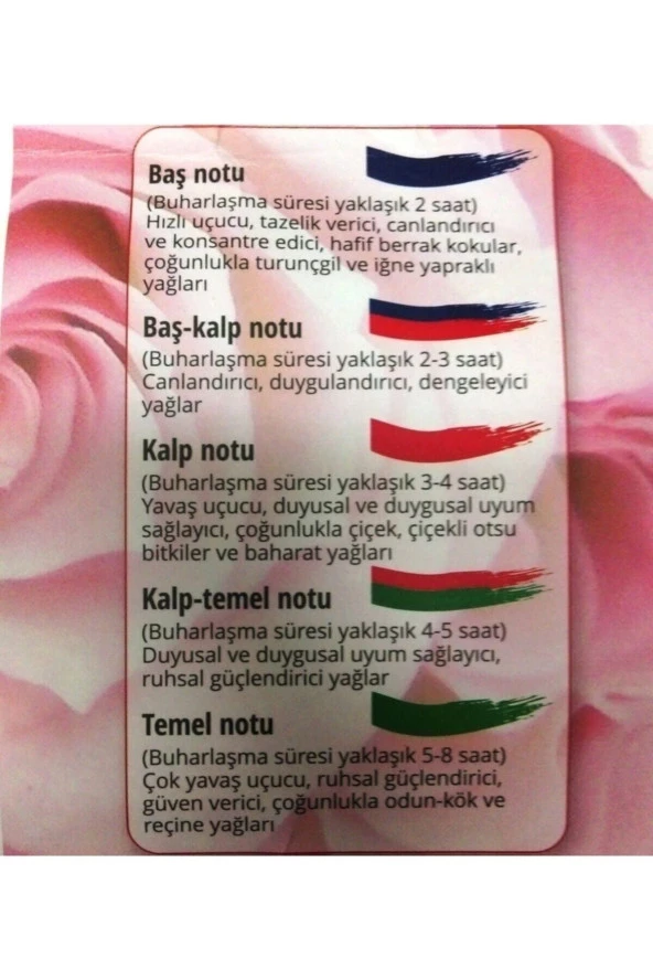 NUKA Yasemin Absolü 5 Ml - Resim 2