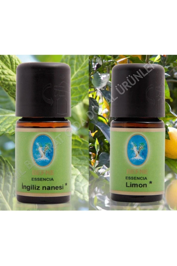 DEFNE 2 Li Set Nuka Organik Ingiliz Nanesi - Organik Limon Yağı 10 ml - 1