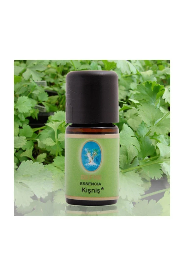 NUKA DEFNE ESENCİA Kişniş Saf Uçucu Yağ 5 ml ürün görseli 1