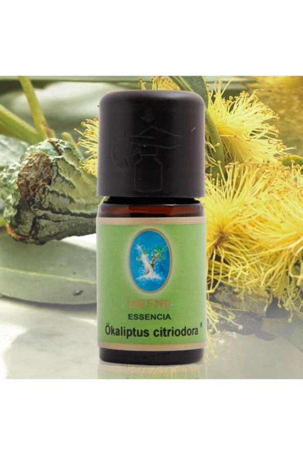 NUKA DEFNE ESENCİA Nuka Organik Okaliptus Citriodora Yağı 10ml ürün görseli 1