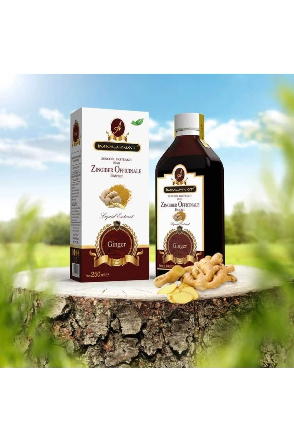 İMMU-NAT Immunat Zencefil Ekstraktı 250 ml ürün görseli 1