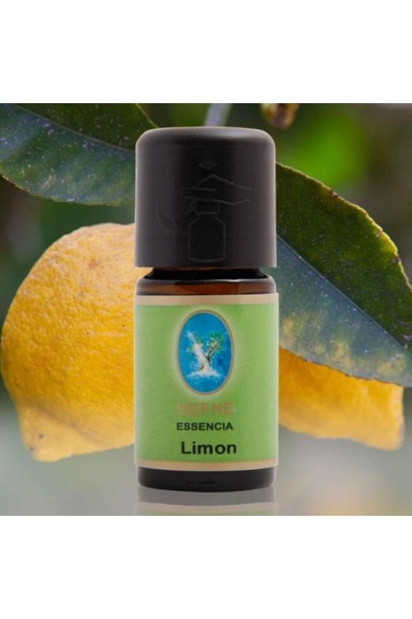 NUKA 2 Li Set Organik Ingiliz Nanesi - Organik Limon Yağı 10 ml