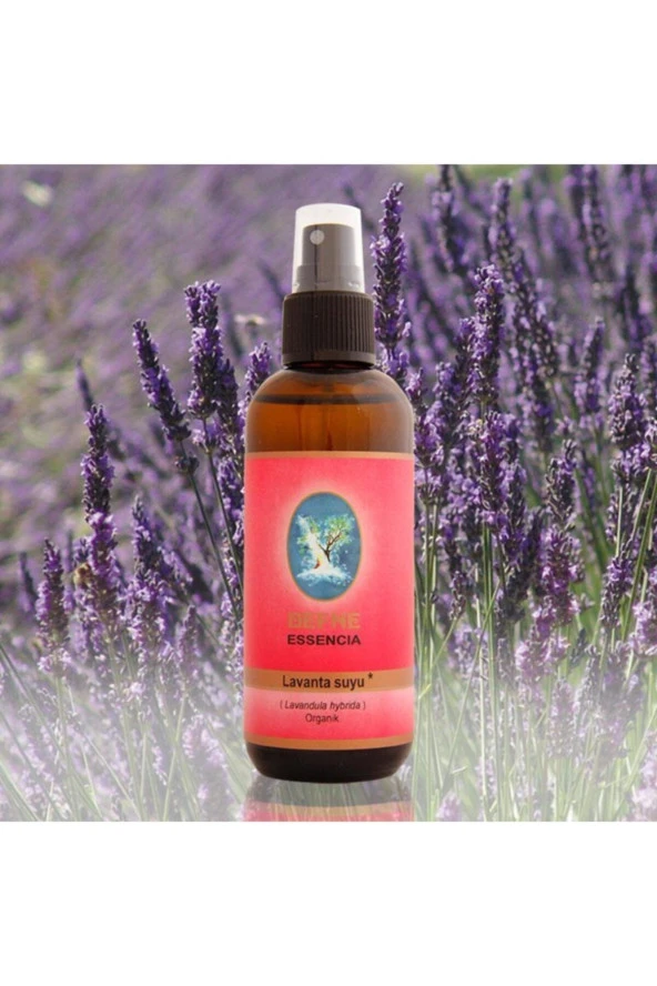 NUKA DEFNE ESENCİA Nuka Defne Essencia Geleneksel Lavanta Suyu Sprey Şişe 100 Ml ürün görseli 1
