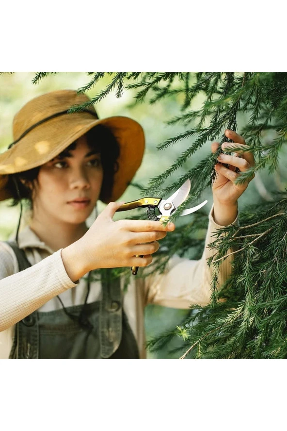Depolife Bahçe Budama Makası Çalı Meyve Çicek Keme Yaylı Çelik Makas 200mm - 2