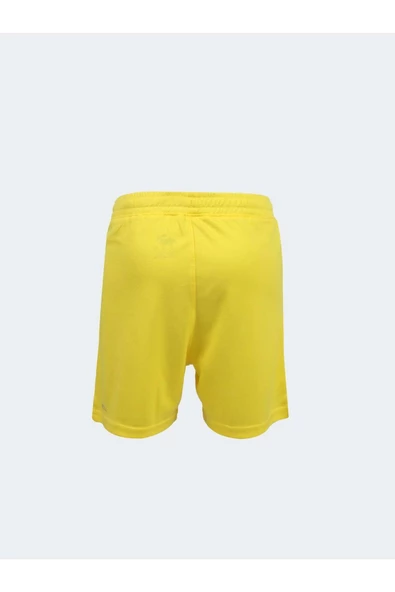 Fenerbahçe Orijinal Lisanslı Sarı Çocuk Şort 22/23 Sezonu - 4