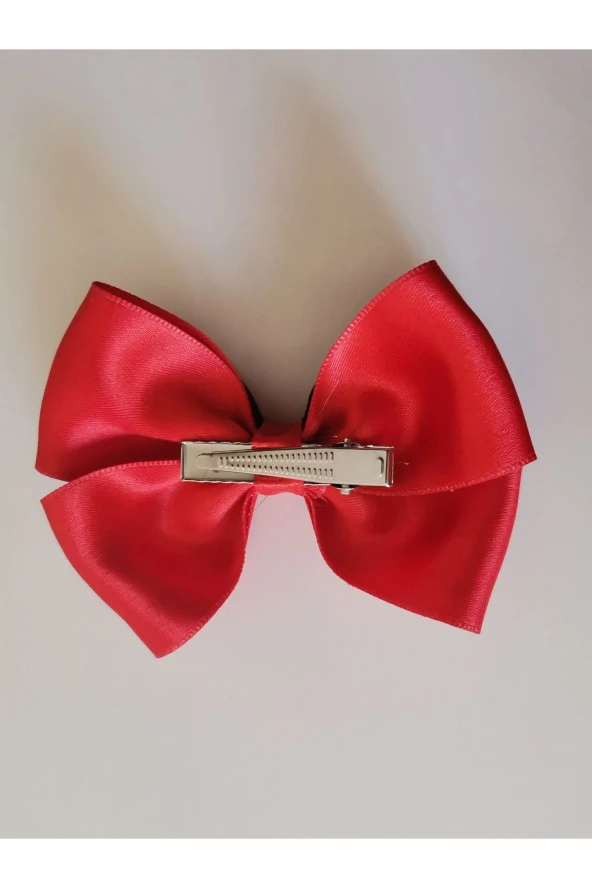 MİNİK ADIMLAR 2 Adet 23 Nisan Tokası Atatürk Ve Imzası Baskılı Özel Tasarım Klipsli - 4