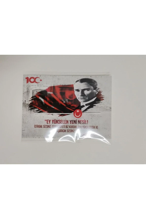 MİNİK ADIMLAR 29 Ekim Cumhuriyet Bayramı Kartı Ve Ay Yıldız Bilekliği 100 Adet - 2