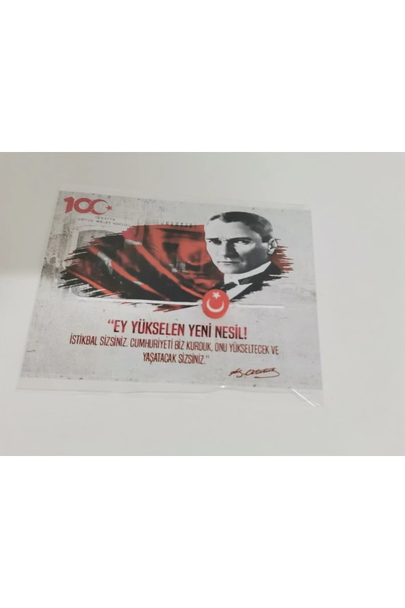 MİNİK ADIMLAR 29 Ekim Cumhuriyet Bayramı Kartı Ve Ay Yıldız Bilekliği 25 Adet - 3