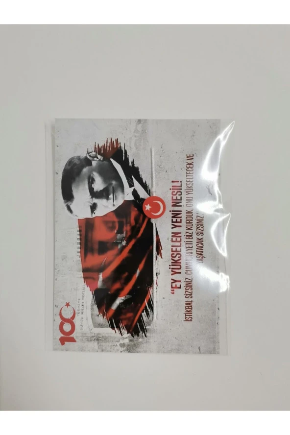 MİNİK ADIMLAR 29 Ekim Cumhuriyet Bayramı Kartı Ve Ay Yıldız Bilekliği 100 Adet - 5