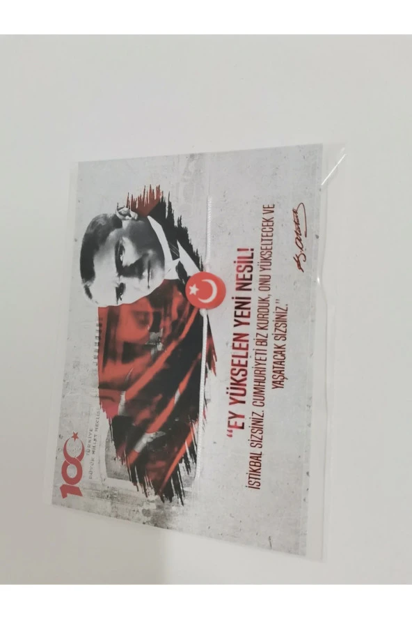 MİNİK ADIMLAR 29 Ekim Cumhuriyet Bayramı Kartı Ve Ay Yıldız Bilekliği 10 Adet - 6