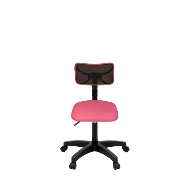 Türksit 812 File Öğrenci Koltuğu Pembe ürün görseli 1