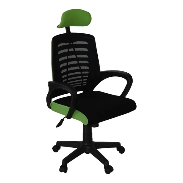 Türksit Karizma File Müdür Koltuğu Plastik Ayak Siyah-F,Yeşil
