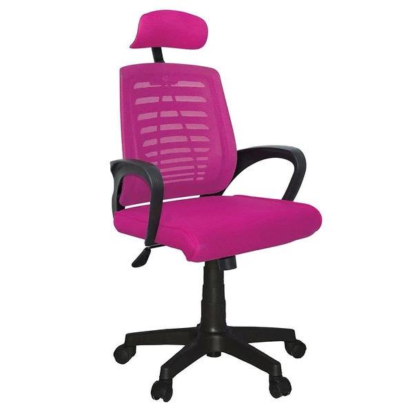 Türksit Karizma File Müdür Koltuğu Plastik Ayak Pembe ürün görseli 1