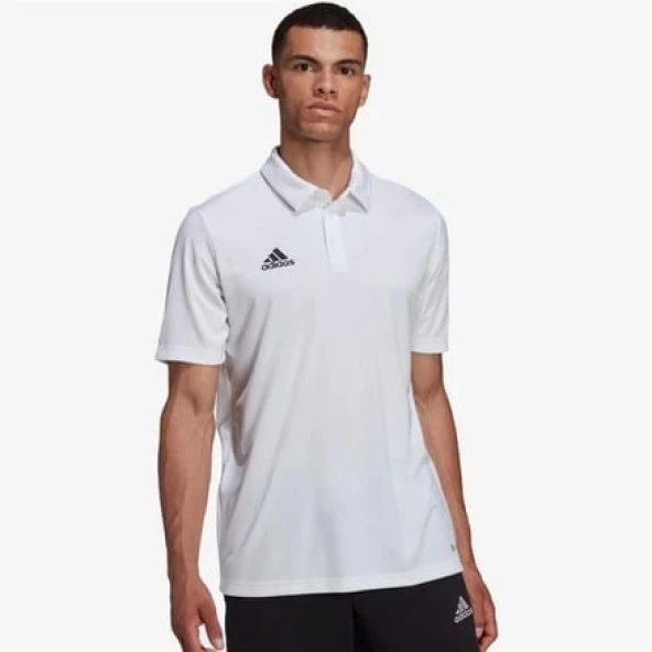 Adidas Entrada 22 Polo Erkek Polo Yaka Tişört - 2