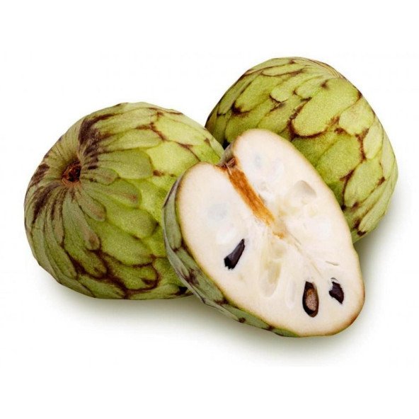 Çerimoya (annona Cherimola, Cherymoya) Fidanı AŞILI 5 Yaş 100 Cm