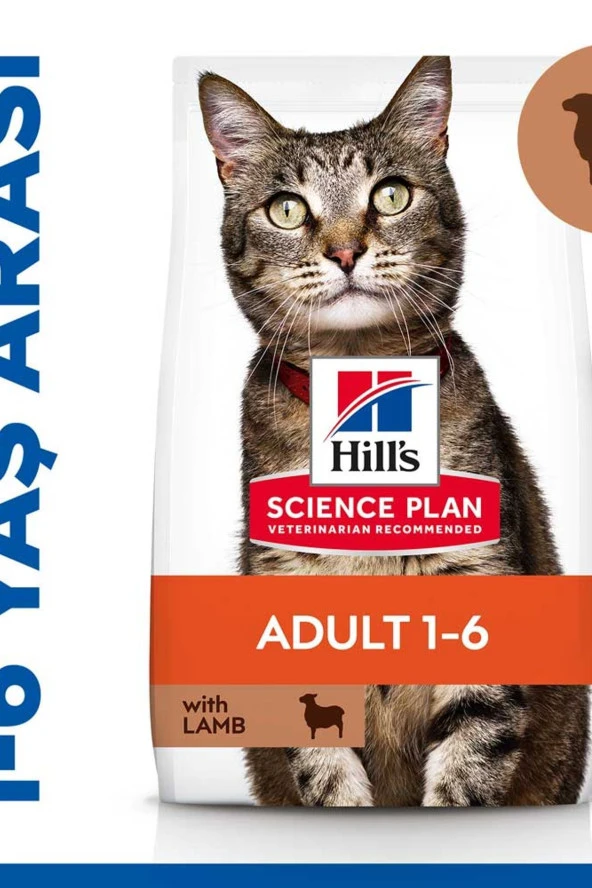 Optimal Care Kuzu Etli Yetişkin Kedi Maması 3kg - 2