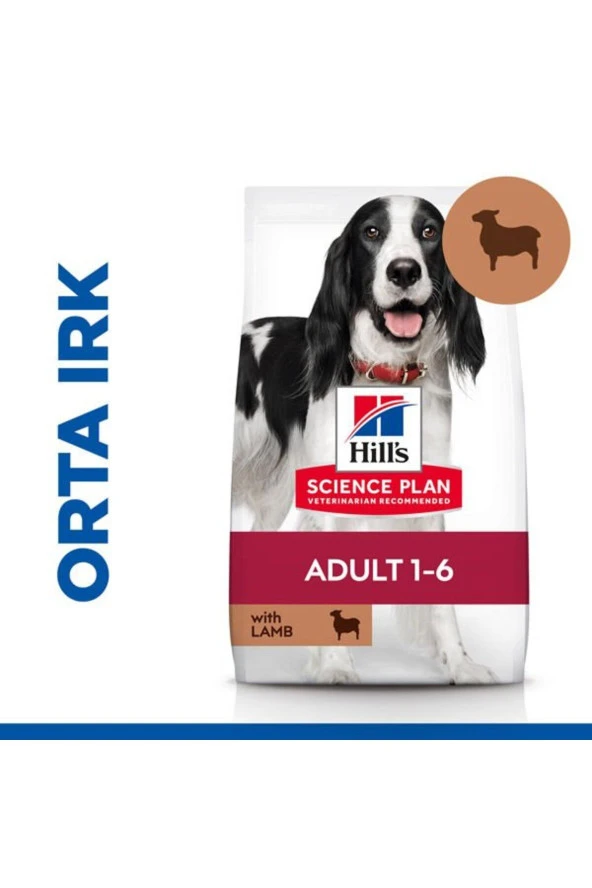 Hill's SCIENCE PLAN Healthy Development Kuzulu Orta Irk Yavru Köpek Maması 2,5kg