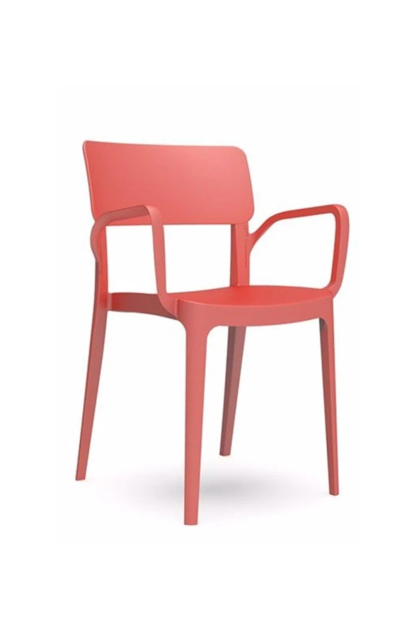 NOVİSSİ Panora Sandalye Bahçe,teras,mutfak,balkon,cafe Sandalyesi