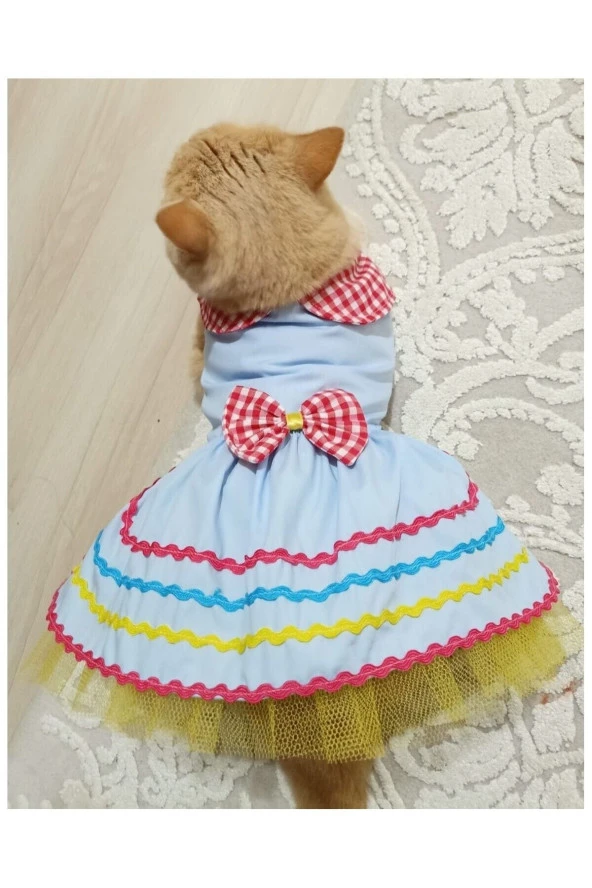 Rengarenk Festival Temalı Renkli Papyonlu Tüllü Kedi Köpek Kıyafeti Elbisesi XSmall/XS/Beden 0