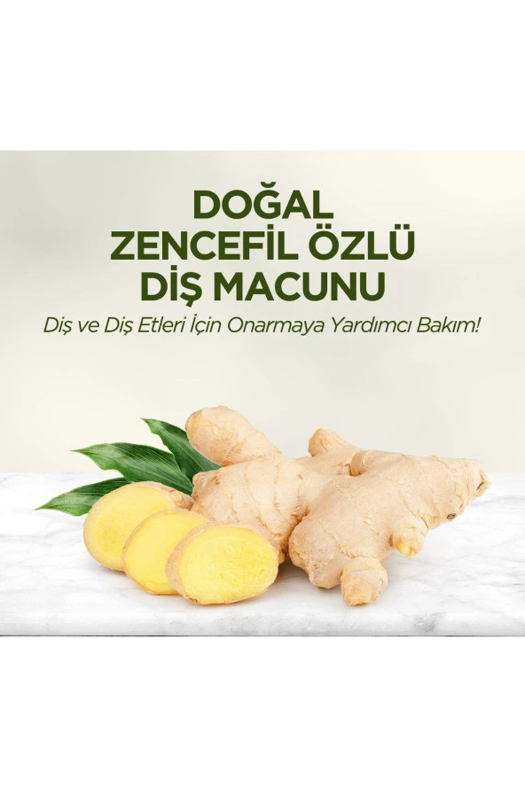 Eyüp Sabri Tuncer Doğal Zencefil Özlü Diş Macunu 90 ml 12 Adet - 4