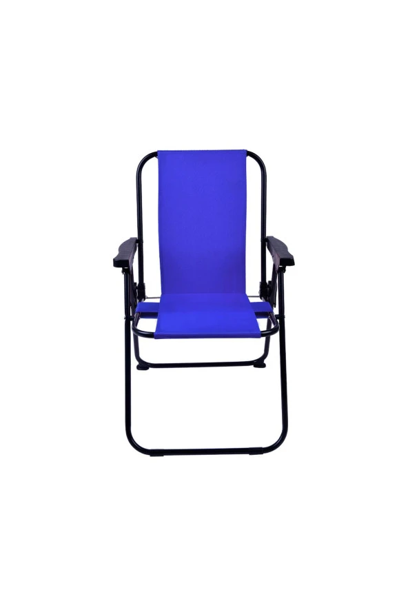 EXENT 2 Adet 2-6 Yaş LÜX Çocuk Piknik Sandalyesi-Mini Kamp Sandalyesi-Mavi - Resim 2